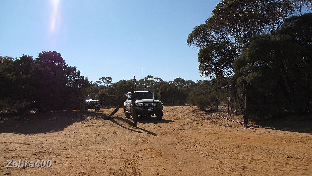 08-Zebra crosses the State Border to start the Vic-SA Border track.jpg